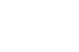 Robo'Lyon
